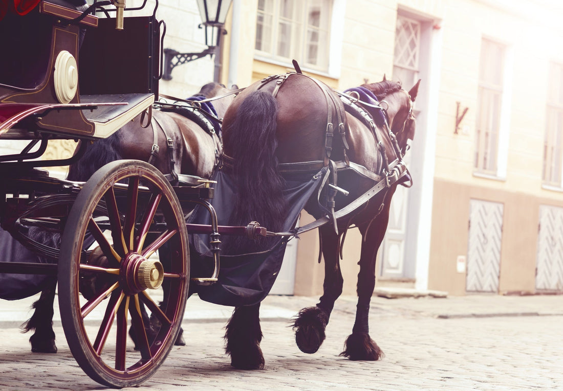 Tiny Tale #2 - The Coachman's Passenger